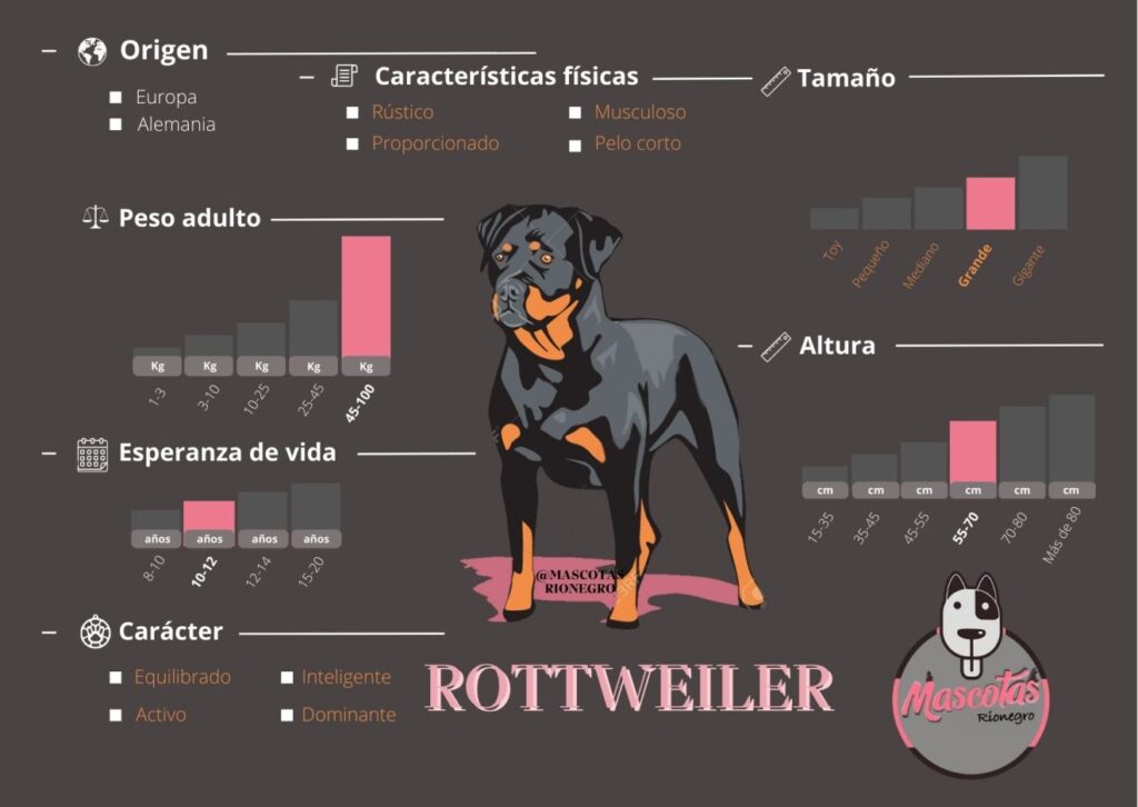 Criadero Rottweiler
