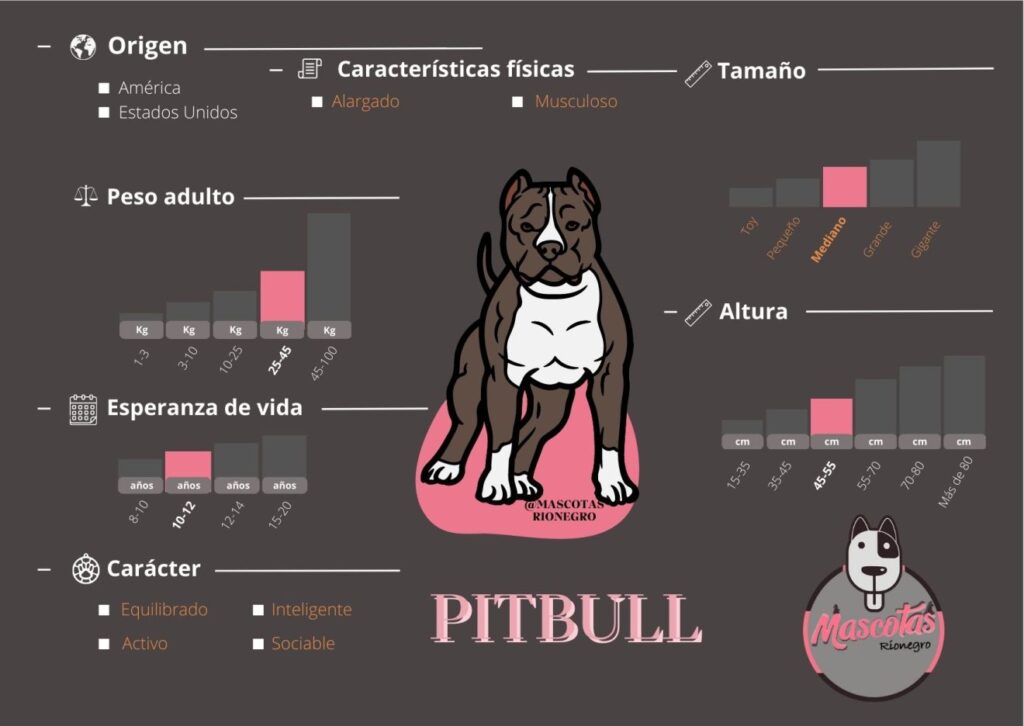 criadero de perros Pitbull